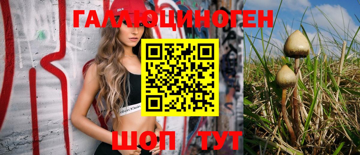 Галлюциногенные грибы мухоморы  Псилоцибиновые грибы Magic Shrooms  Вход с VPN  Знаменск 