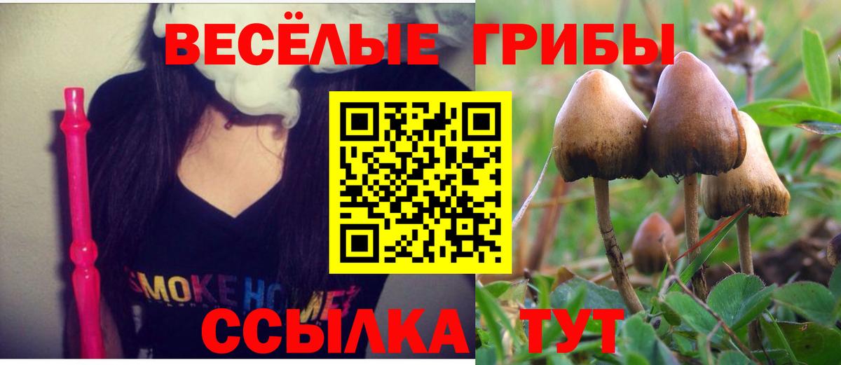 Псилоцибиновые грибы мицелий Знаменск